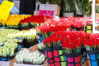 花卉市场背景